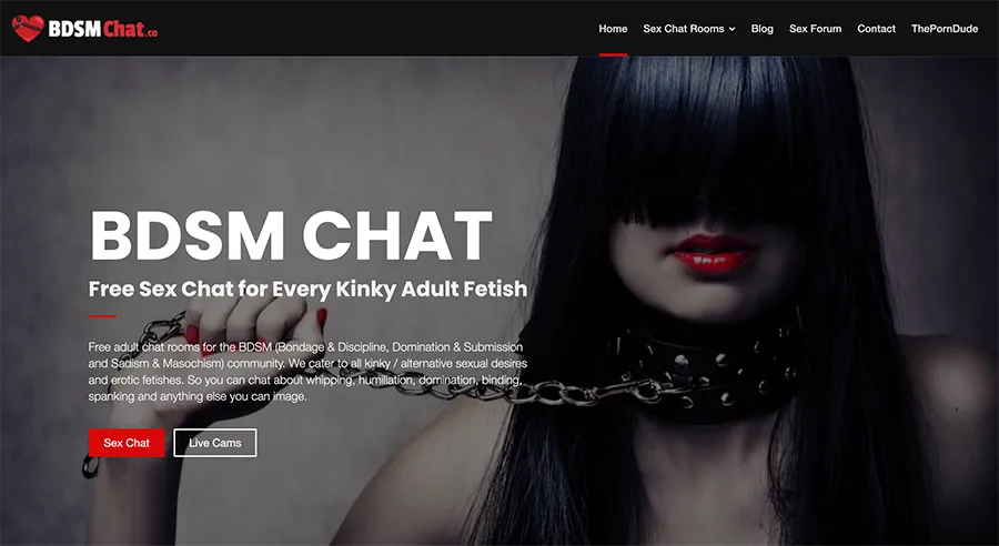 Екранна снимка на BDSMChat